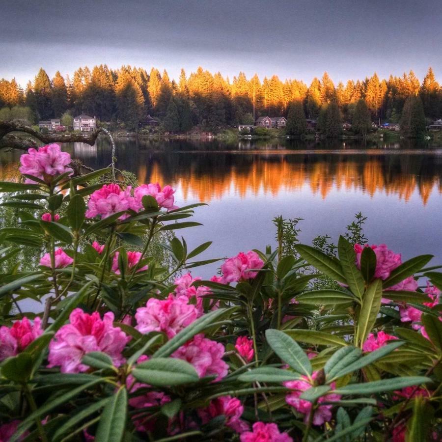 Cottage Lake Bed And Breakfast Удънвил Екстериор снимка
